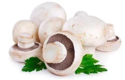 Добавка Шампиньоны конс. (50гр)